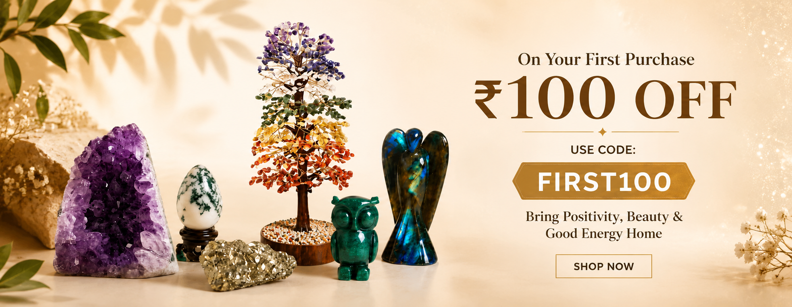 Special Offers